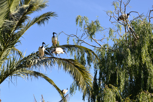 World of Birds Wildlife Sanctuary.